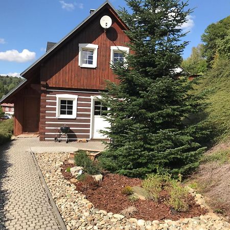 Modern chalet Na Zlatníku Zlata Olesnice  Exterior foto